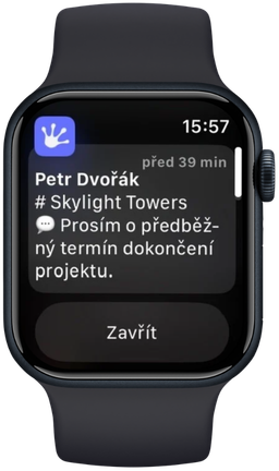 Smart Watch View